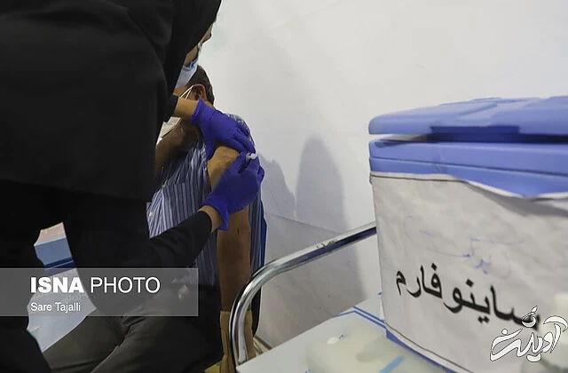 واکسیناسیون افراد ۶۰ سال به بالا و دانشجویان دانشگاه علوم پزشکی کرمان/ به روایت تصاویر